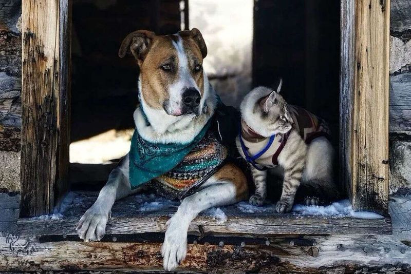 Batman & Robin
