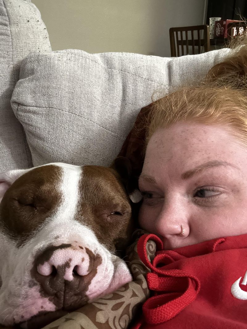 Pit Bull Terrier