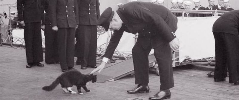 Blackie, Churchill's Feline Friend