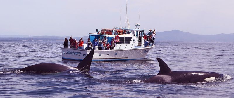 Monterey Bay, California