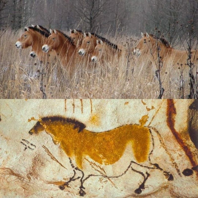 Ancient Lineage