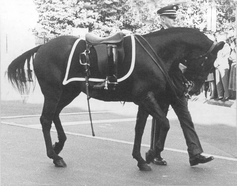 Black Jack