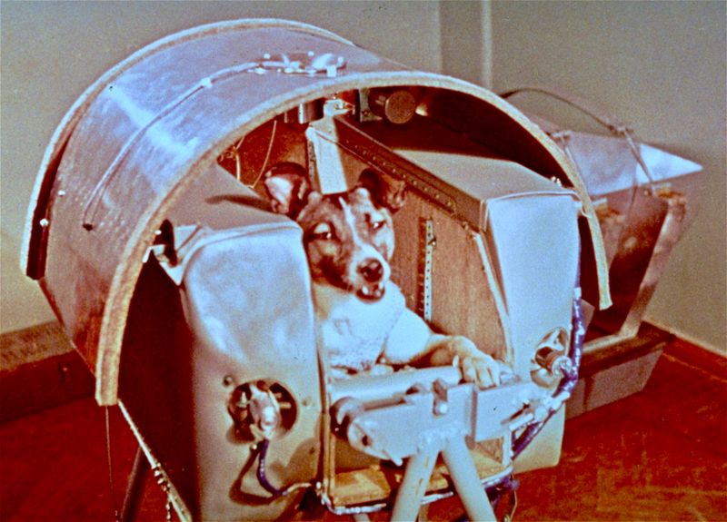 Laika (1957)