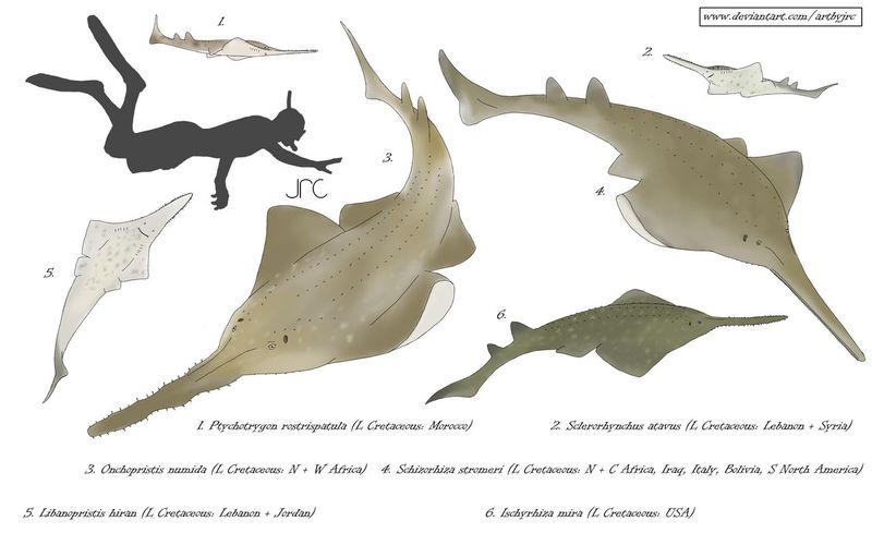 Some Ancient Sharks Had Long Snouts Like Swords