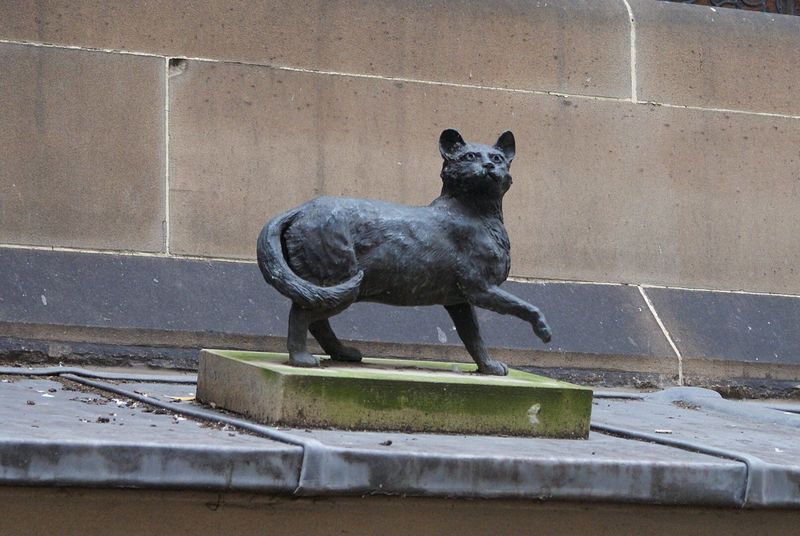 Trim, the Explorer's Companion