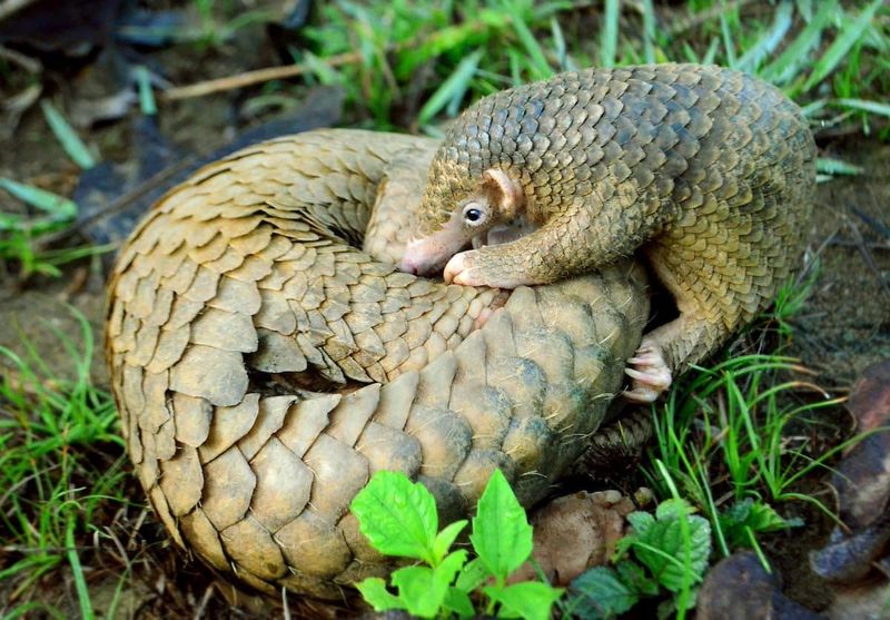Motherly Care