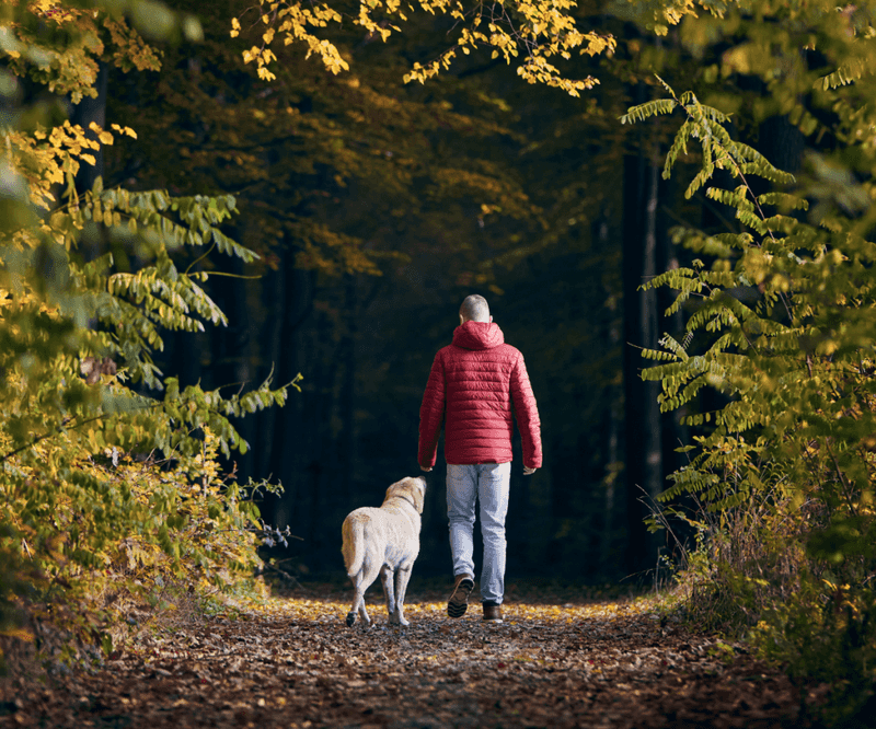 Rescue from Loneliness