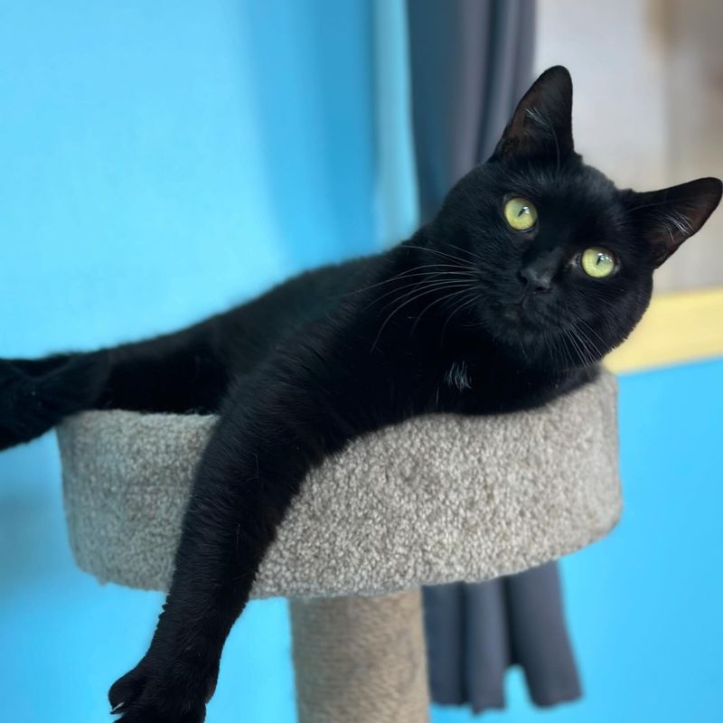 Superstition: They’re Harder to Photograph