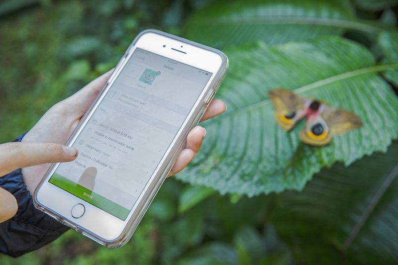 Use Wildlife Observation Apps