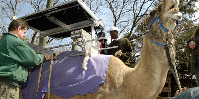 Solar-Powered Refrigeration