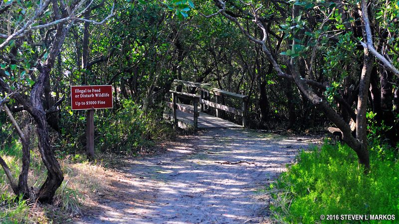 Everglades National Park, Florida