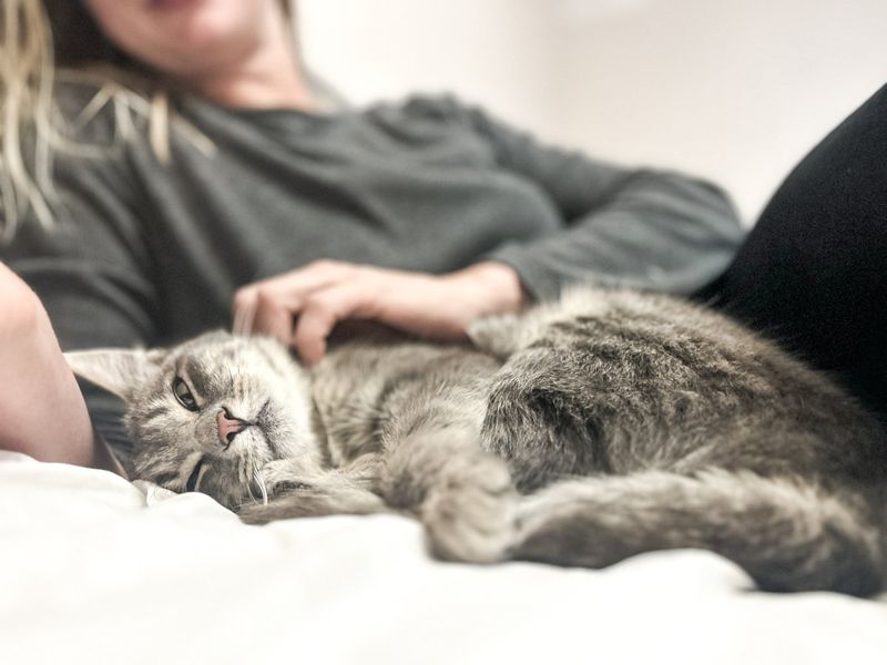 The Unexpected Cuddle