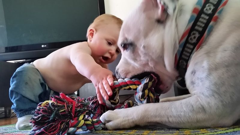 The Devoted Friend