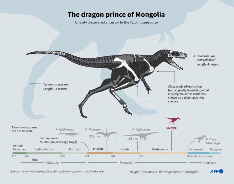 Anatomy of a Predator
