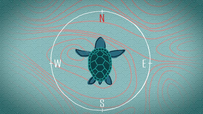 Navigational Wonders