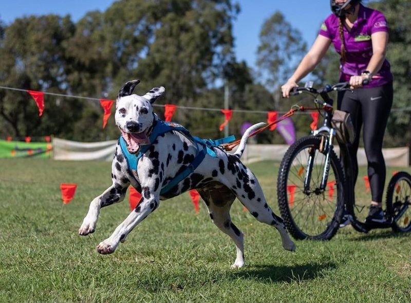 The Adventurous Athlete