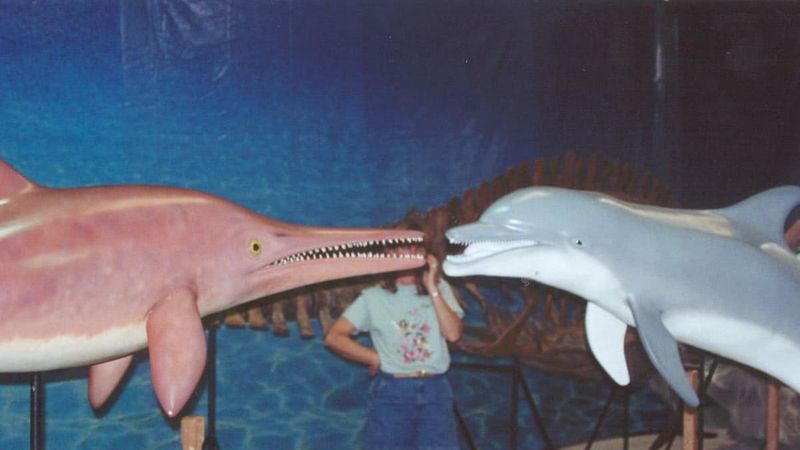 Dolphins and Ichthyosaurs