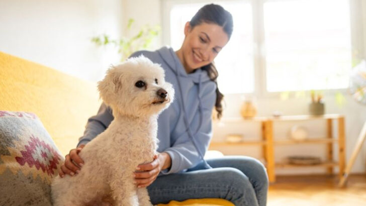 The Ultimate Guide: 10 Tips for Finding the Best Dog Sitter