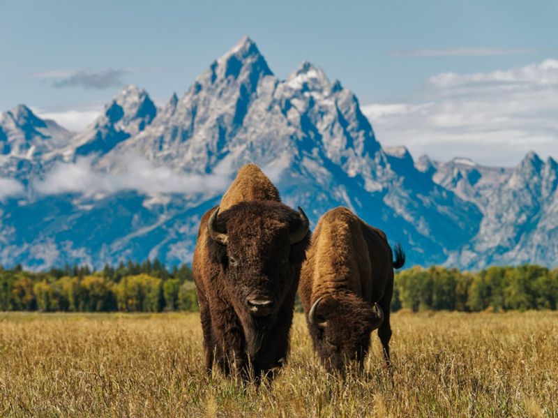 Grand Teton National Park