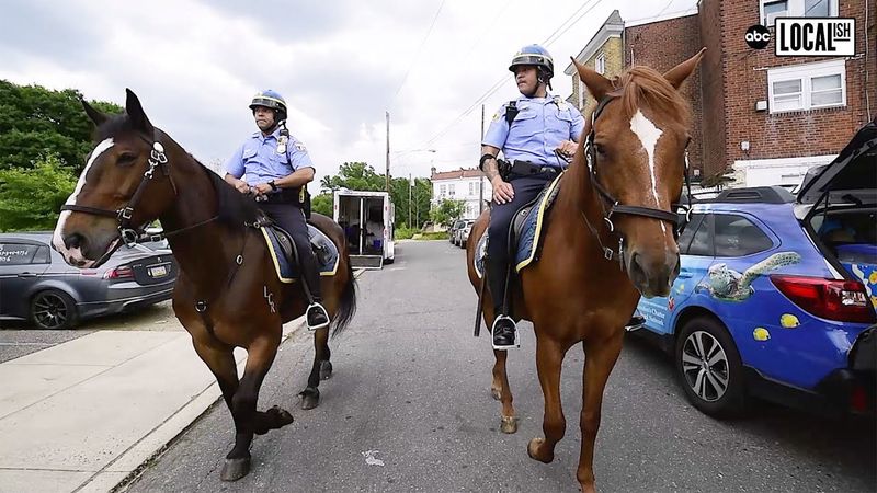 Police Mounts