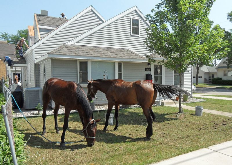 Eco-friendly Lawn Mowers
