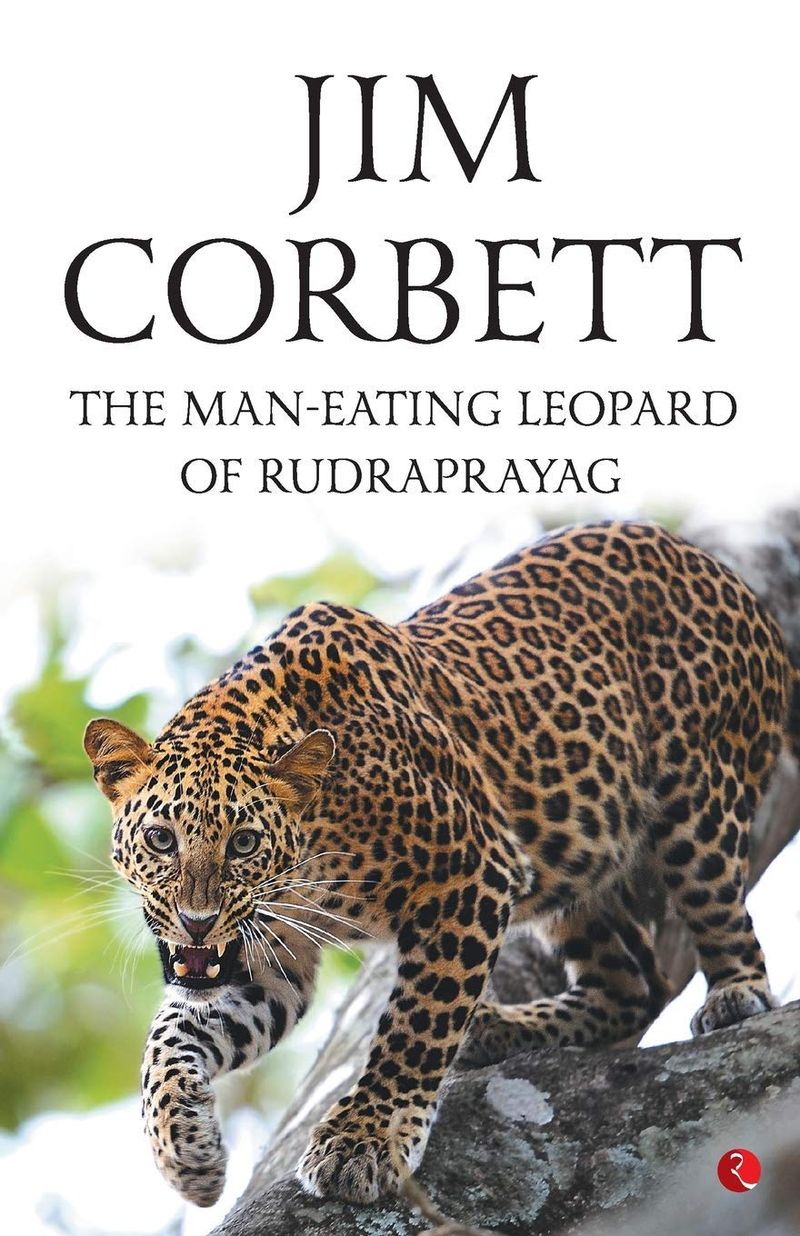 Leopards