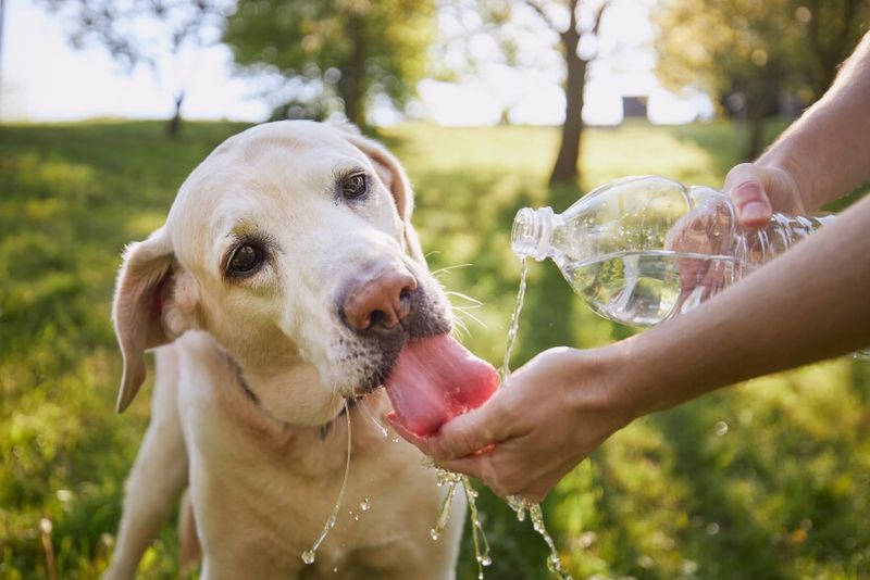 Keep Hydration Accessible