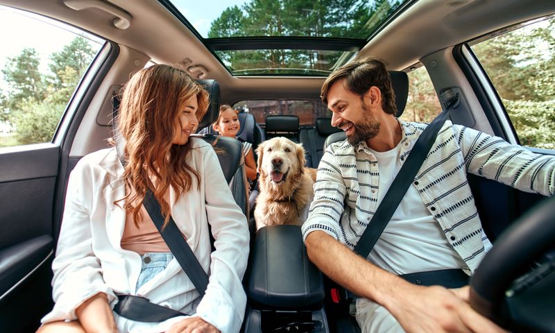Avoid Feeding Right Before the Trip