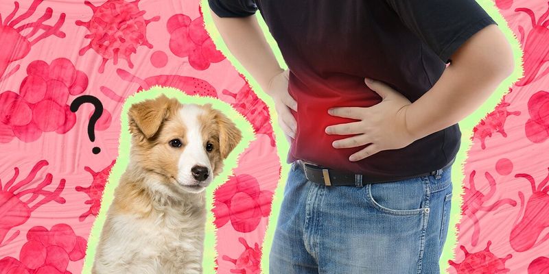 Worms and Human Health
