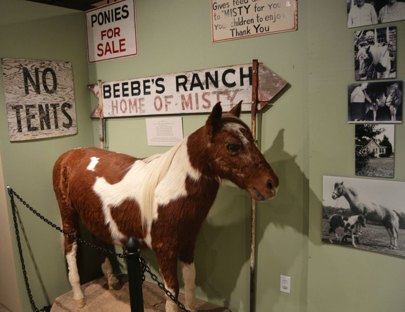 Misty of Chincoteague