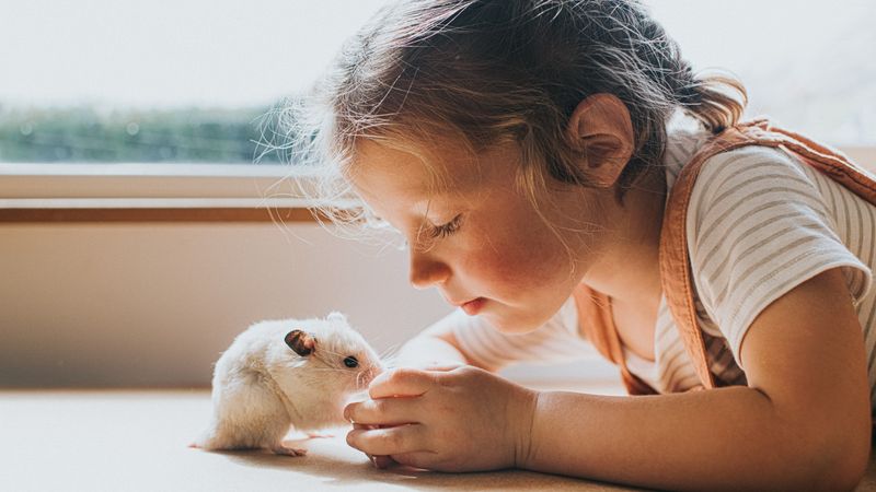 Bond Through Playtime