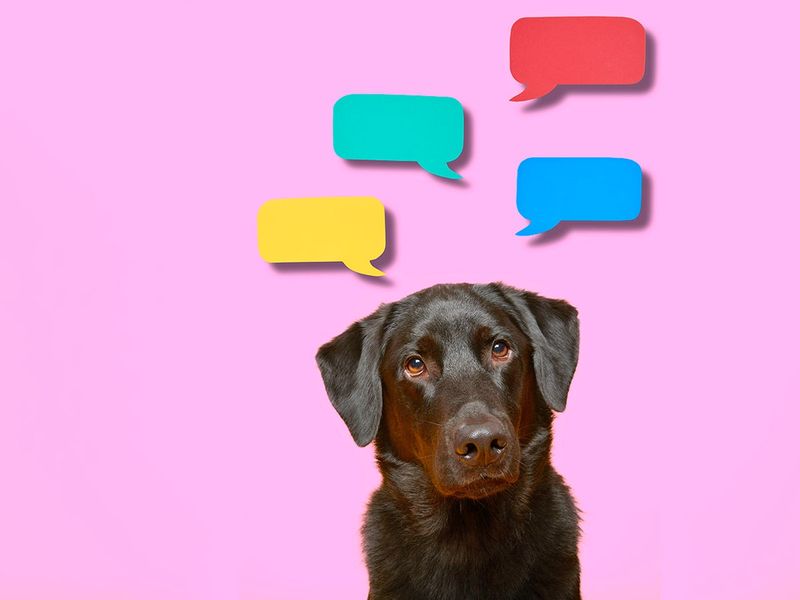 Ask About Communication Methods