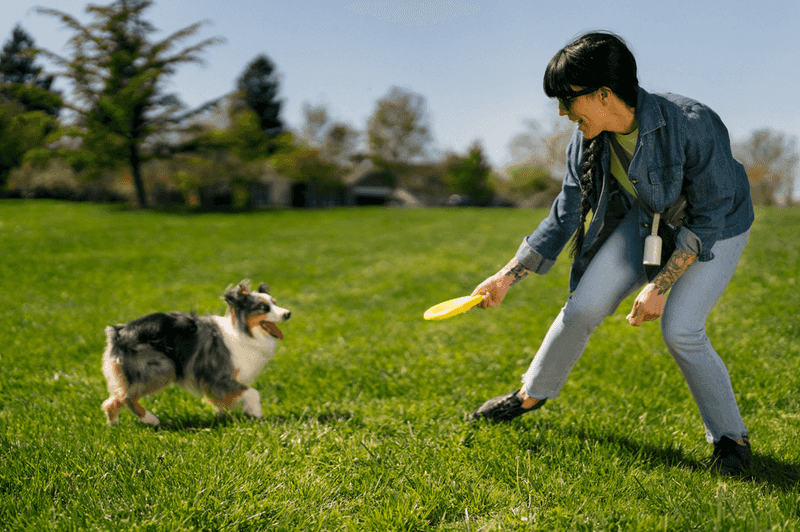 Playing Fetch