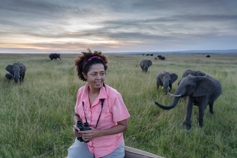 Watch Wildlife Documentaries