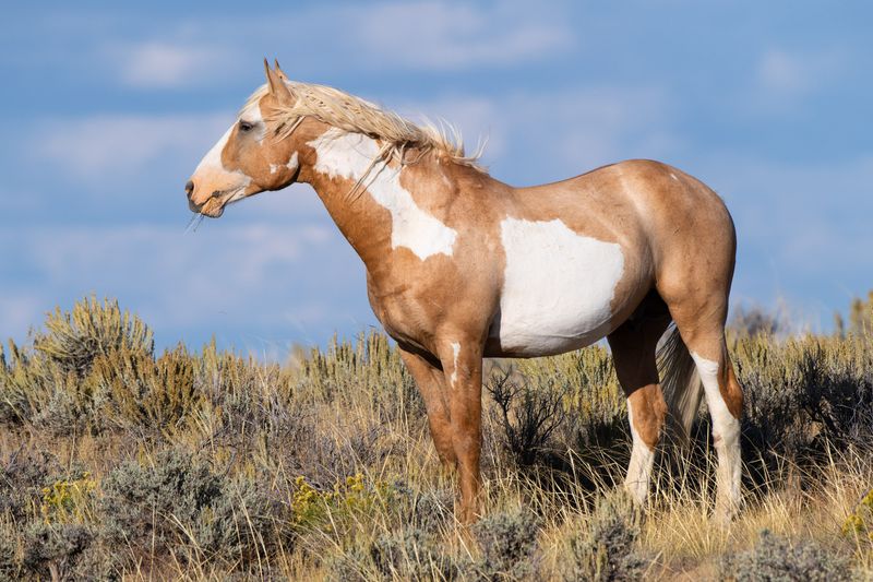 Colorado