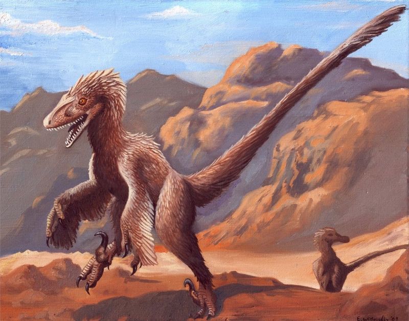 Velociraptors Had Feathers