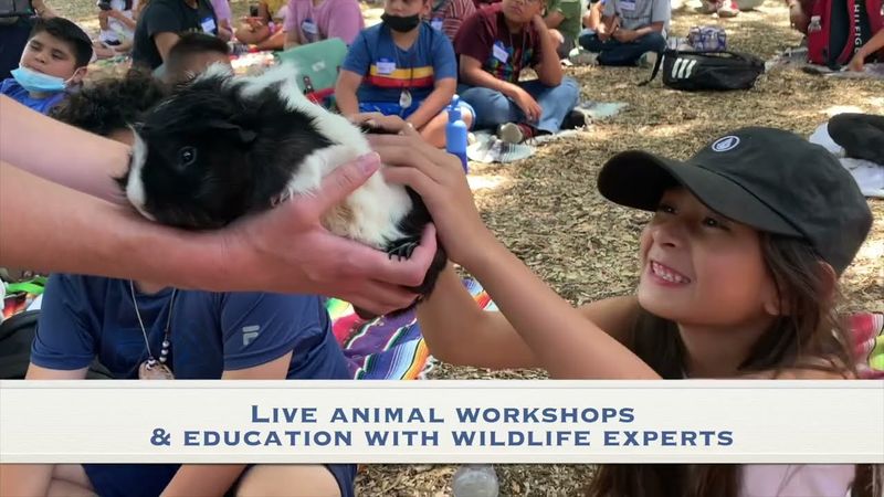 Attend Educational Wildlife Workshops