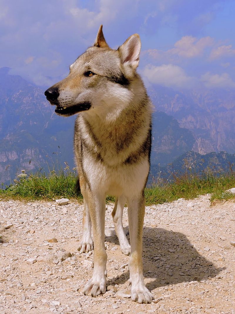 Colorado