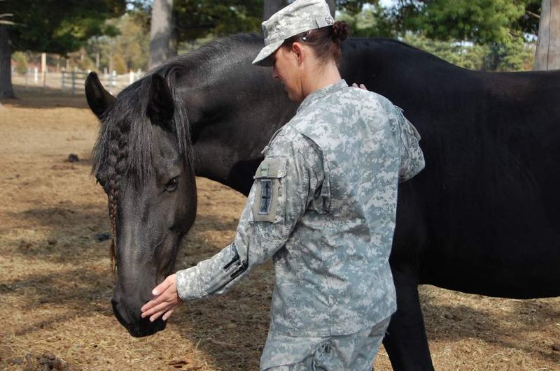 Therapeutic Riding for Veterans