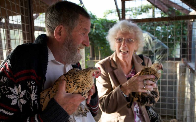 Pet Therapy Companions