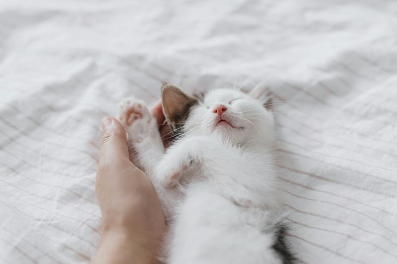Contentment and Happiness