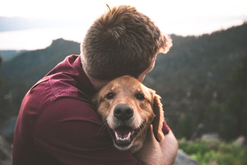Loyal Companions
