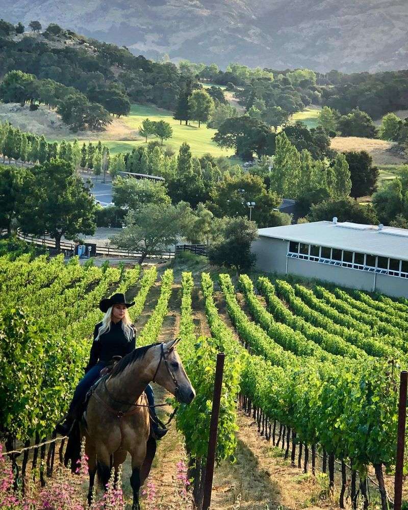 Winery Vineyard Stewards