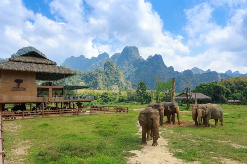 Elephant Hills – Khao Sok, Thailand