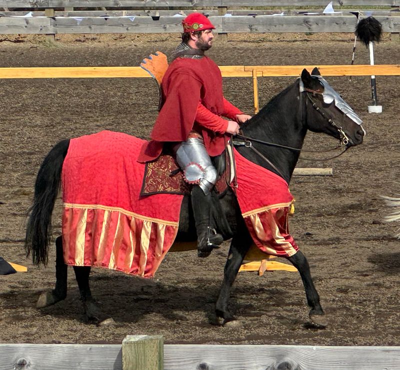Historical Reenactment Stars