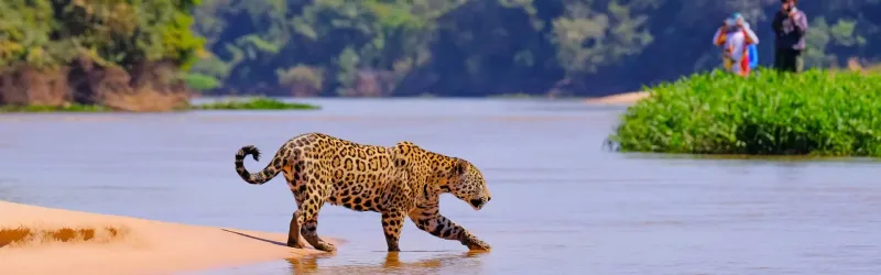 Pantanal, Brazil