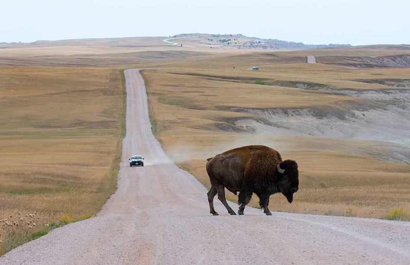 Badlands National Park