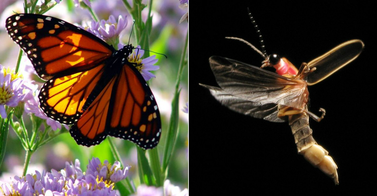 15 Insects That Practically Rule Pennsylvania During The Warmer Months ...